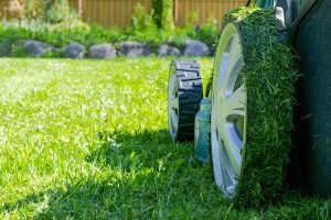 Close up of Lawn Mower with wheels covered in grass