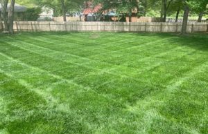 Lawn care Independence MO. Lawn mowing service and more.